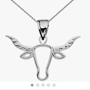 NWOT Sterling Silver Astrology /  Texas Longhorn Bull Necklace